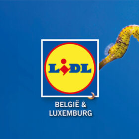 Duurzaamheid award voor Lidl België, Magelaan en Sustenuto