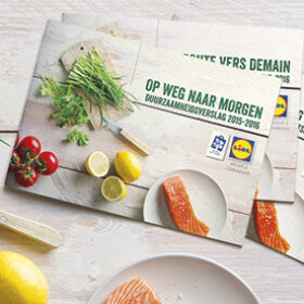 Lidl, Magelaan en een duurzaamheidsrapport